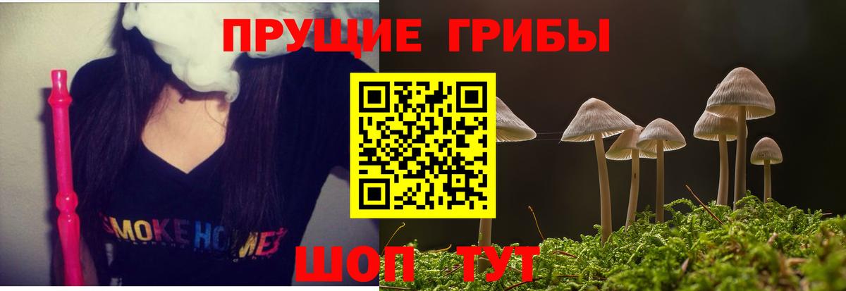 Галлюциногенные грибы Cubensis  Вход с VPN  Псилоцибиновые грибы Cubensis  Клин 