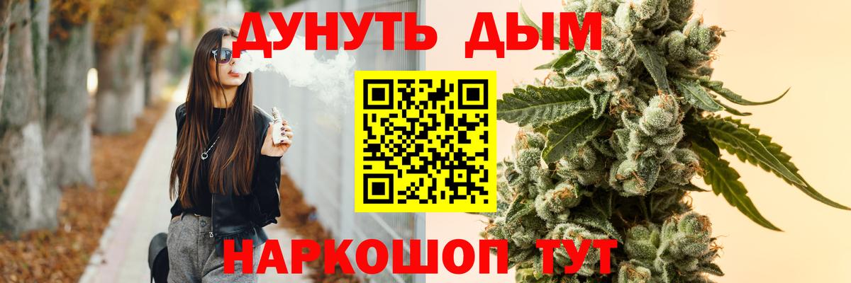 Каннабис сатива  Бошки марихуана ГИДРОПОН  Бошки Шишки план  Клин  Вход с VPN 